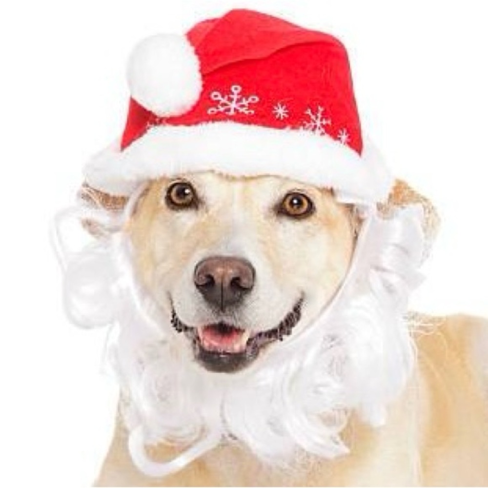 Dog/Cat Santa Hat with Removable Beard - XS/S